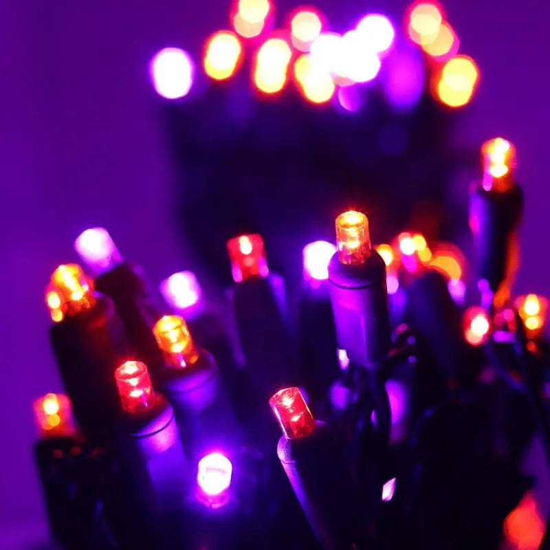50 5mm ColorSplash Victorian Red, Orange, Purple LED Christmas Lights, 6" Spacing
