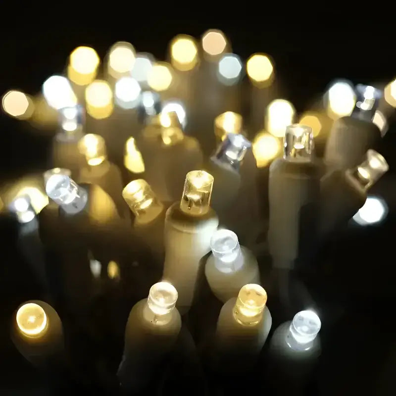 50 5mm ColorSplash Champagne Warm White, Pure White, Cool White LED Christmas Lights, 6" Spacing, White Wire