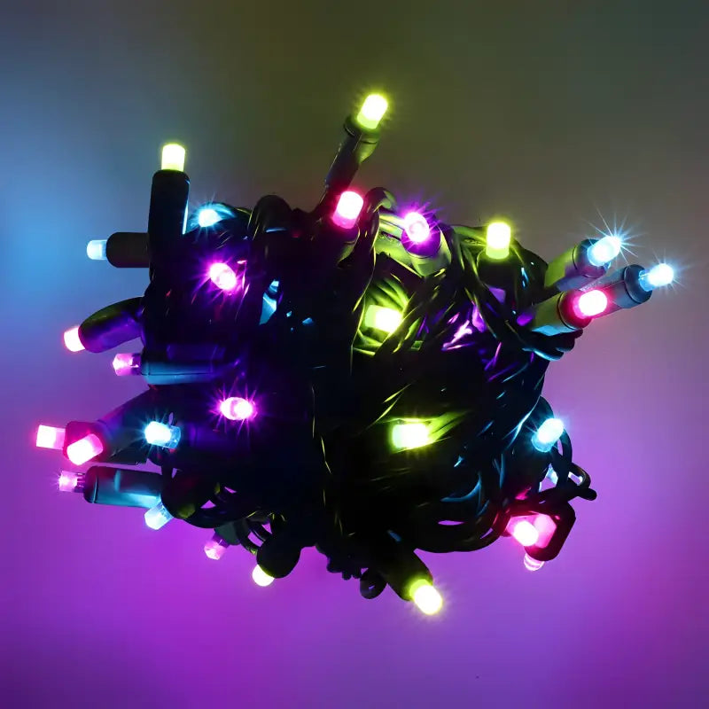 50 5mm ColorSplash Gingerbread Pink,Teal, Lime Green, Purple LED Christmas Lights, 6" Spacing