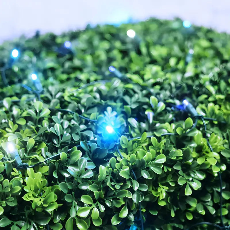 5mm 4' x 6' Arctic Blue, Cool White, Teal DreamSpark Smooth Fade LED Net Lights