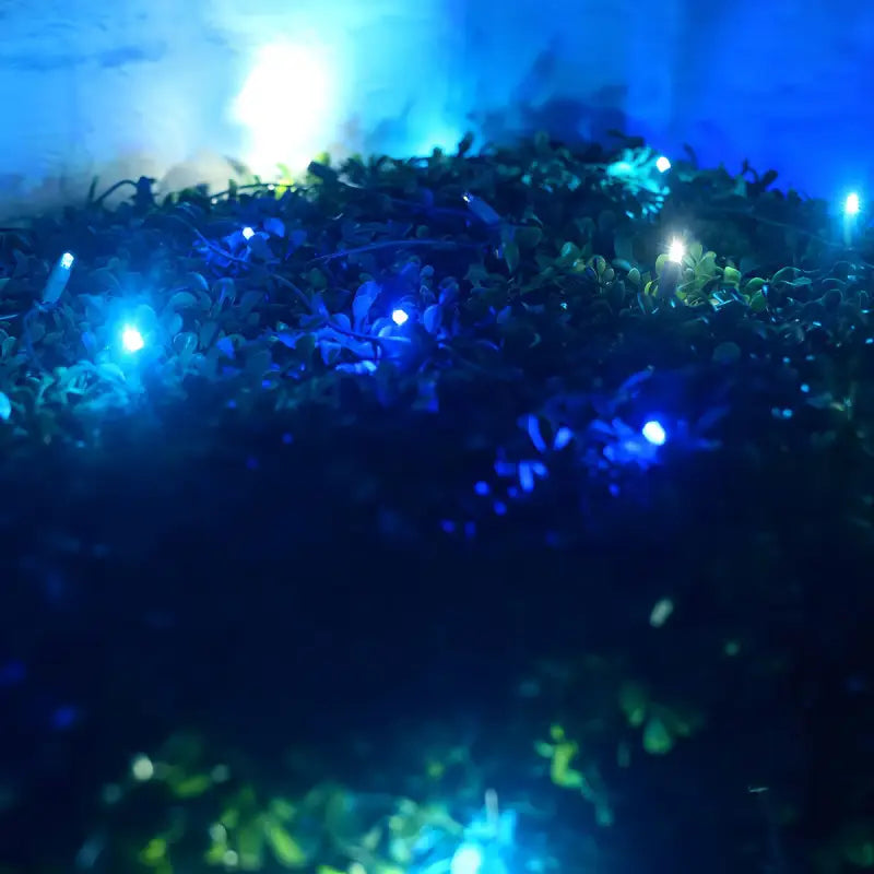 5mm 4' x 6' Arctic Blue, Cool White, Teal DreamSpark Smooth Fade LED Net Lights