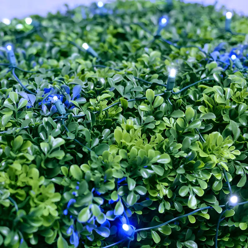 5mm 4' x 6' Blue, Cool White LED Net Lights