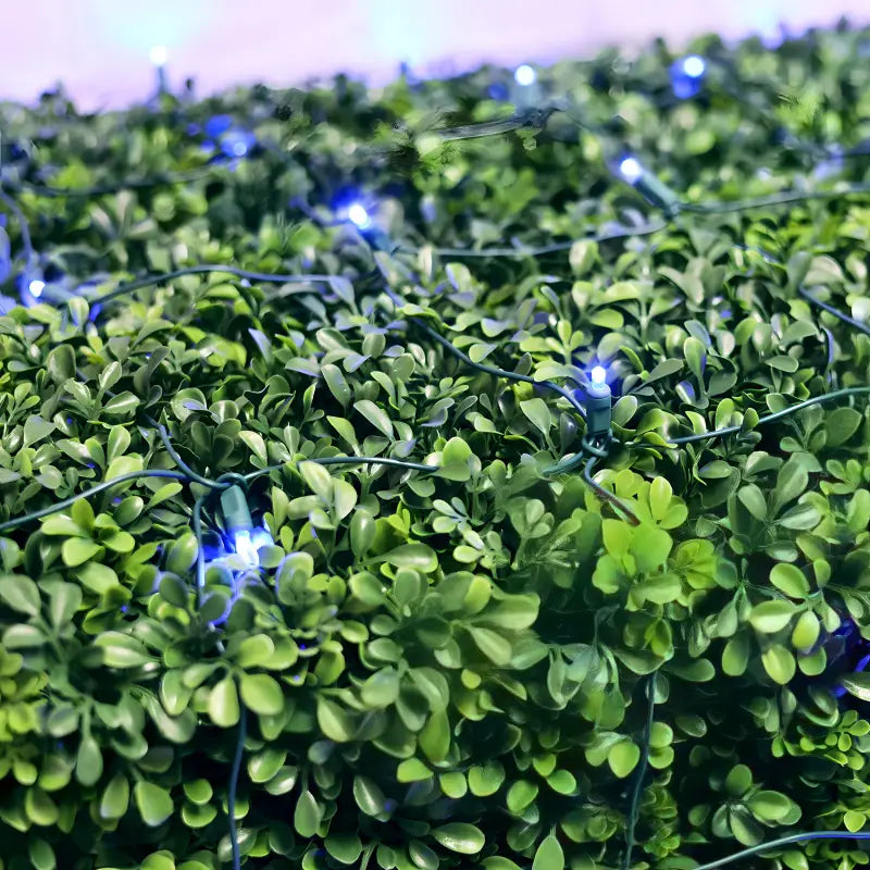 5mm 4' x 6' Blue DreamSpark Smooth Fade LED Net Lights