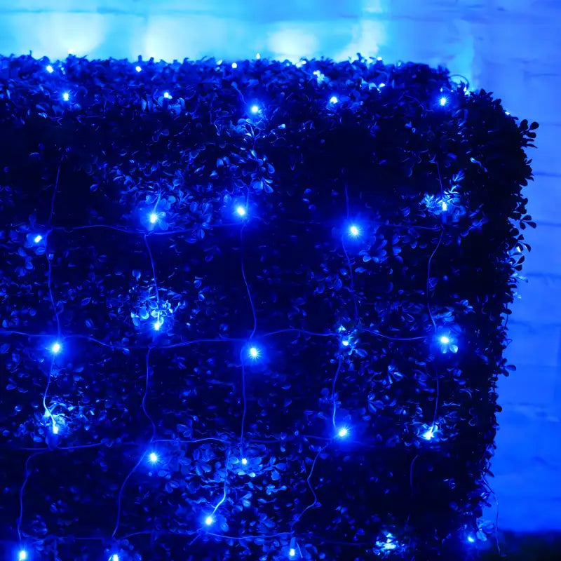 5mm 4' x 6'  Blue LED Net Lights