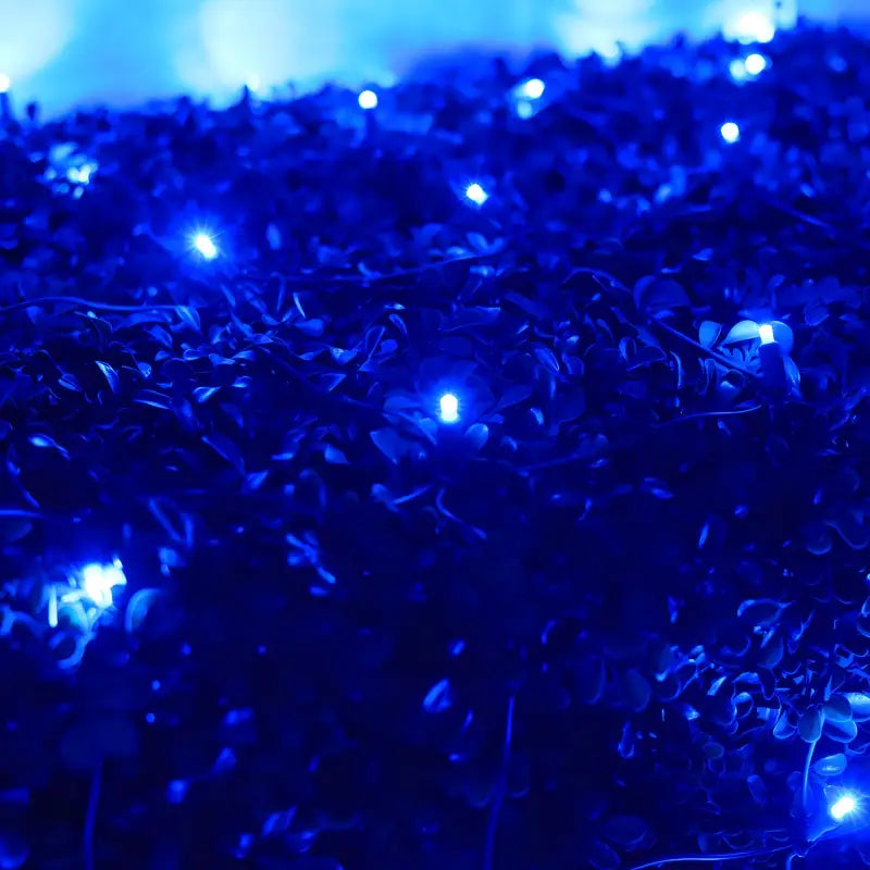 5mm 4' x 6'  Blue LED Net Lights