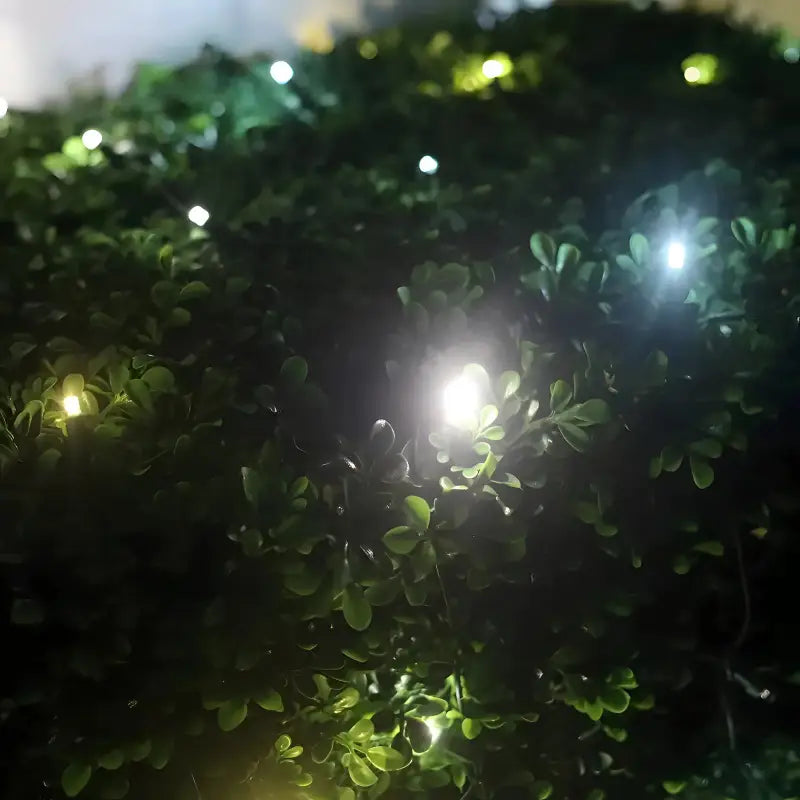 5mm 4' x 6' Champagne Warm White, Pure White, Cool White DreamSpark Smooth Fade LED Net Lights