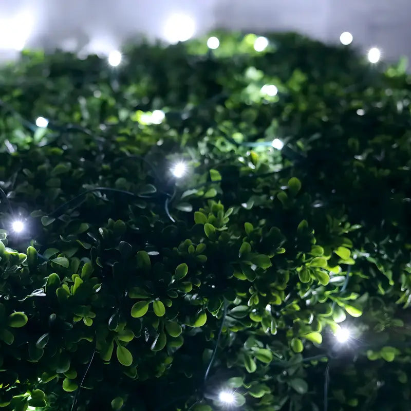 5mm 4' x 6' Cool White DreamSpark Smooth Fade LED Net Lights