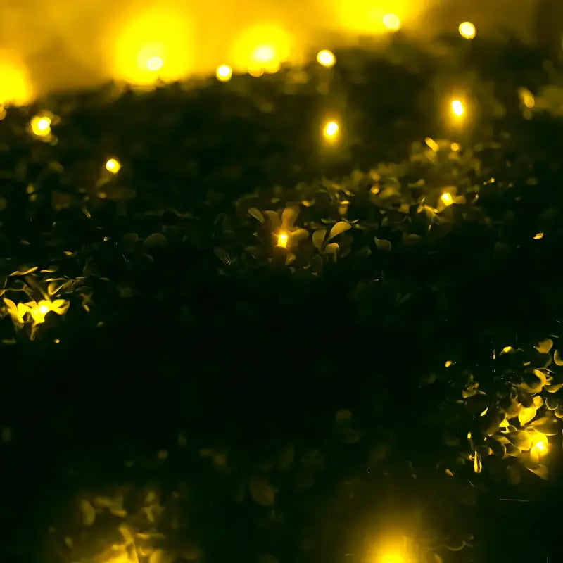 5mm 4' x 6' Gold DreamSpark Smooth Fade LED Net Lights