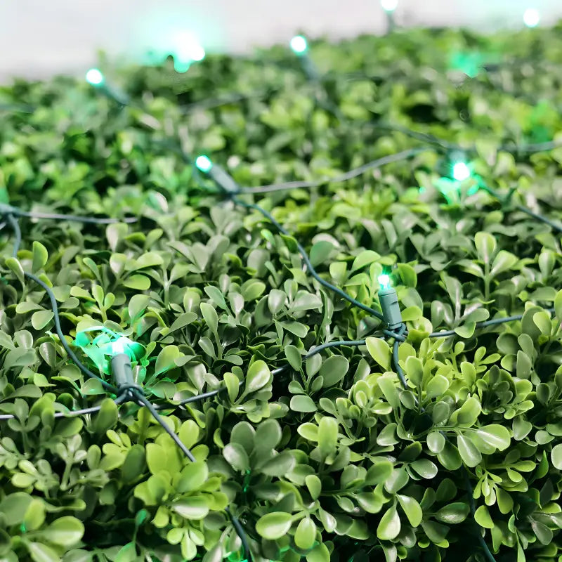 5mm 4' x 6' Green LED Net Lights