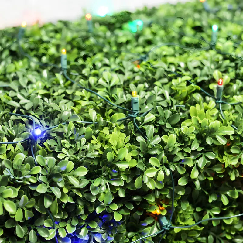 5mm 4' x 6' Multicolor LED Net Lights