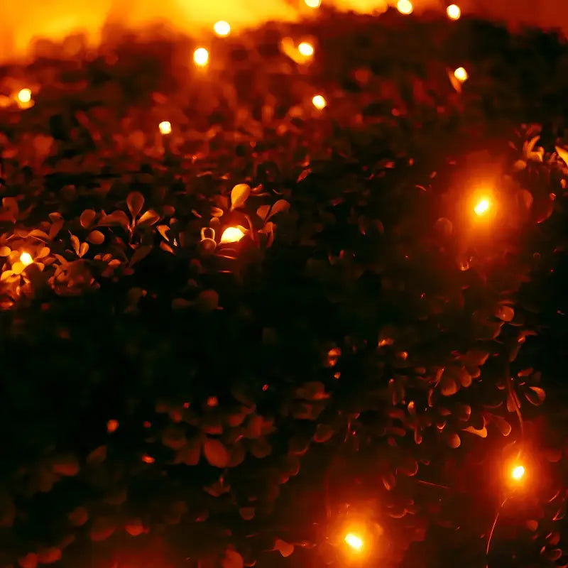 5mm 4' x 6' Orange LED Net Lights