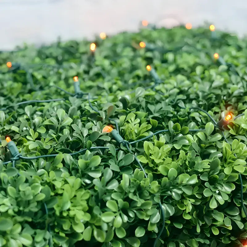 5mm 4' x 6' Orange LED Net Lights