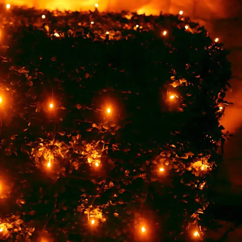 5mm 4' x 6' Orange LED Net Lights