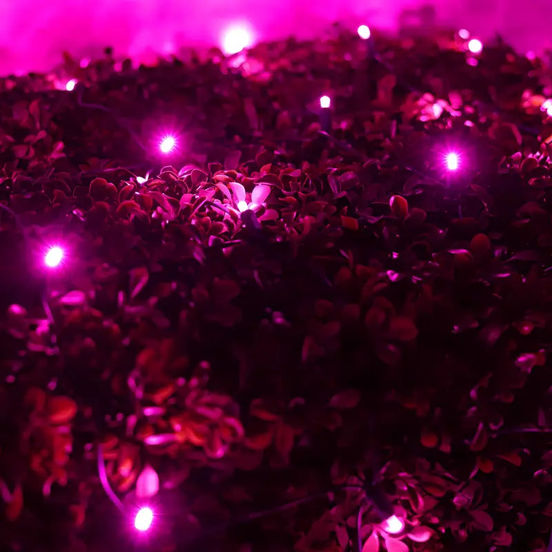 5mm 4' x 6' Pink LED Net Lights