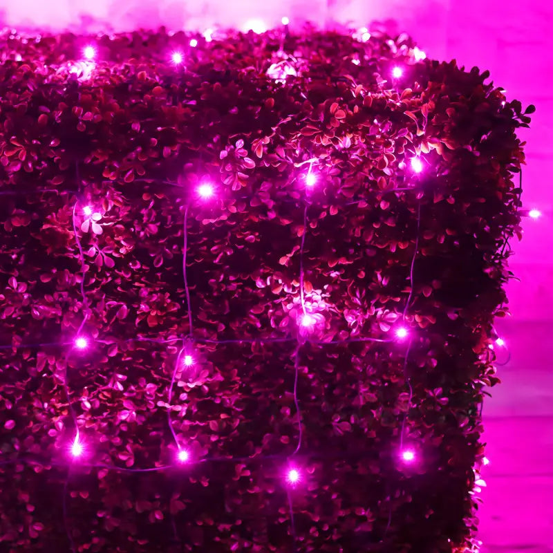 5mm 4' x 6' Pink LED Net Lights