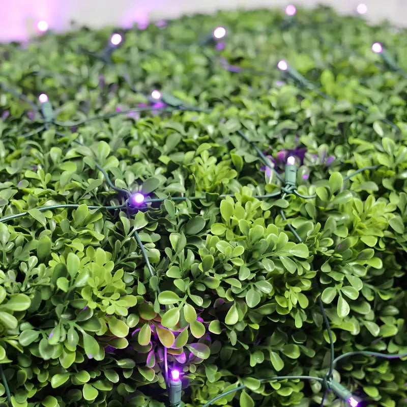 5mm 4' x 6' Purple LED Net Lights