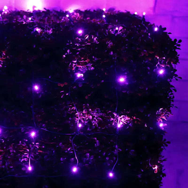 5mm 4' x 6' Purple LED Net Lights