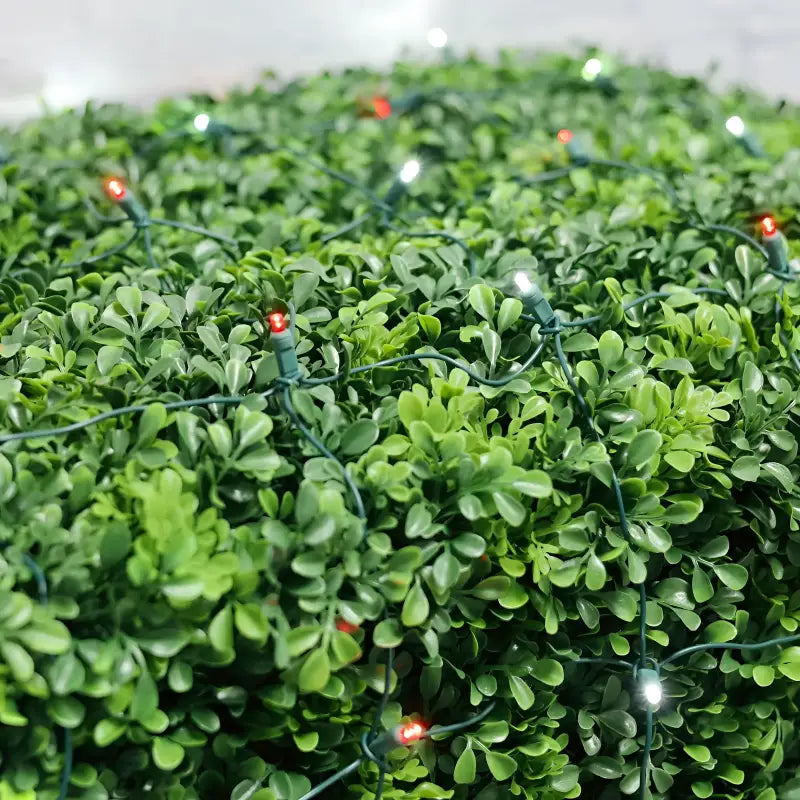 5mm 4' x 6' Red, Cool White DreamSpark Smooth Fade LED Net Lights