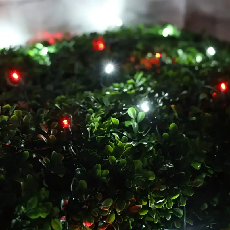 5mm 4' x 6' Red, Cool White LED Net Lights