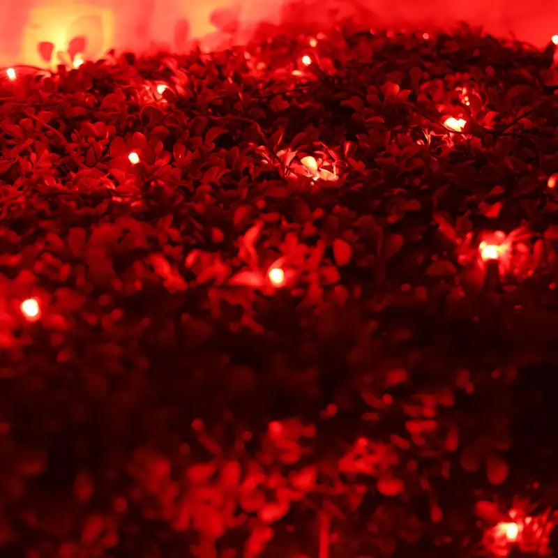 5mm 4' x 6' Red DreamSpark Smooth Fade LED Net Lights
