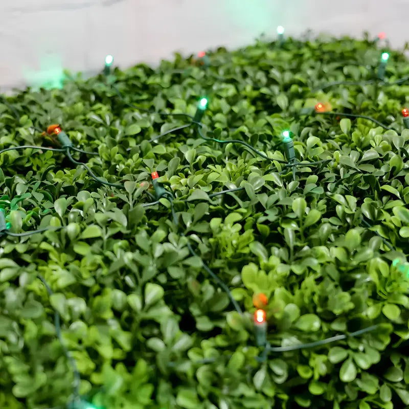 5mm 4' x 6' Red, Green DreamSpark Smooth Fade LED Net Lights