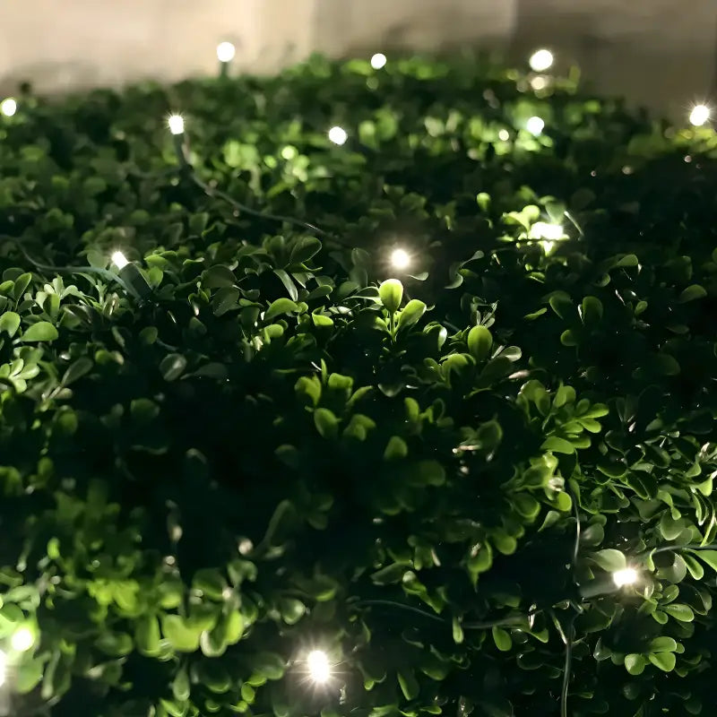 5mm 4' x 6' Warm White DreamSpark Smooth Fade LED Net Lights