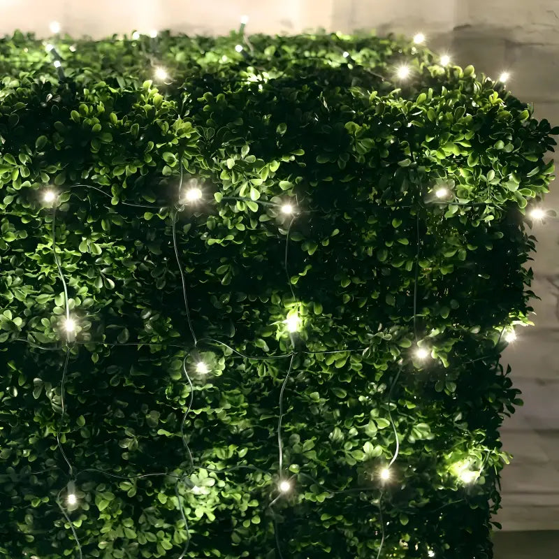 5mm 4' x 6' Warm White LED Net Lights