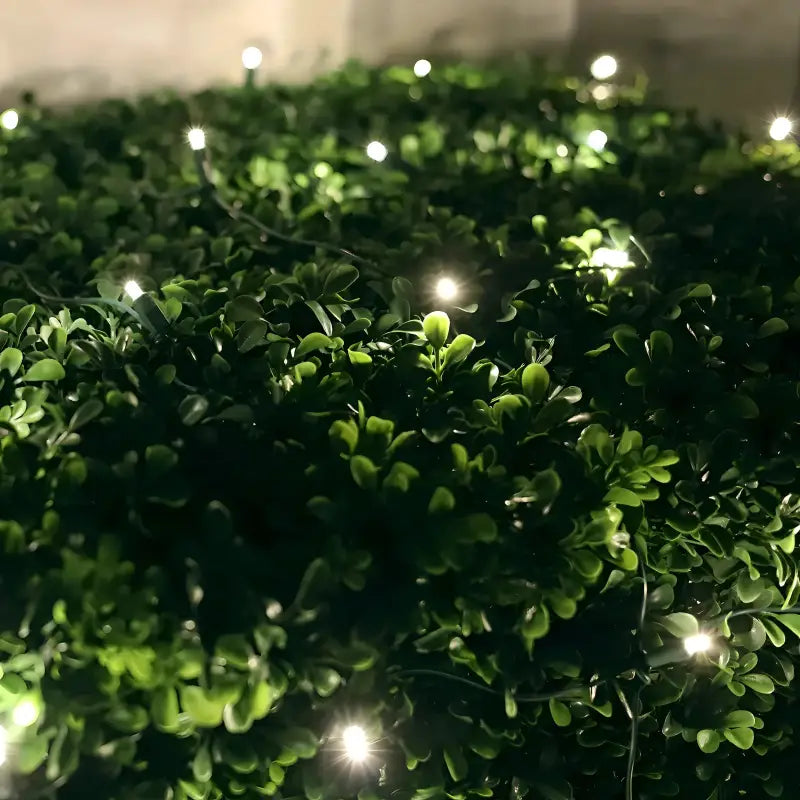 5mm 4' x 6' Warm White LED Net Lights