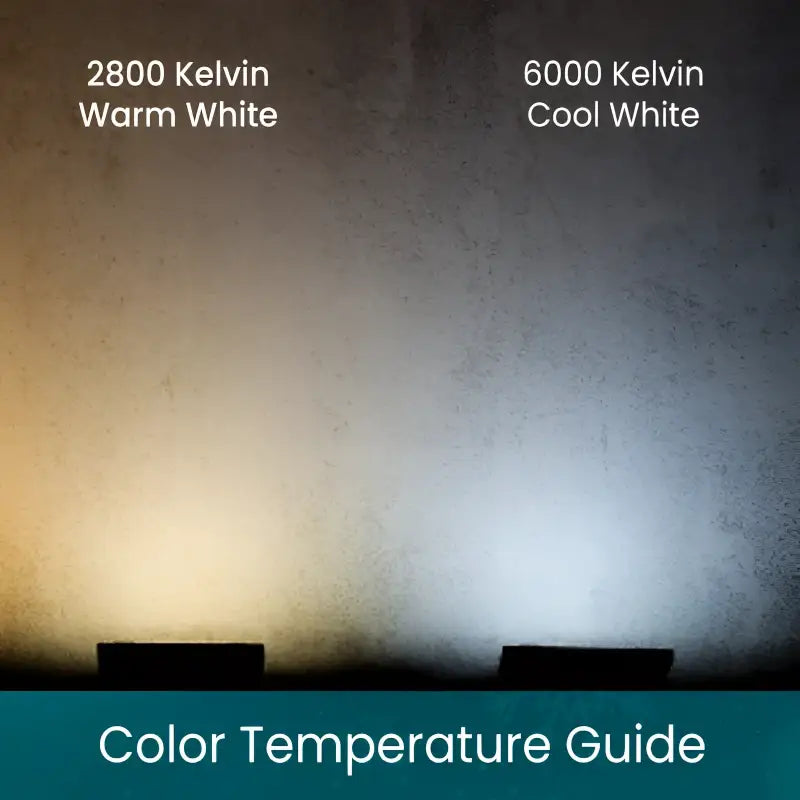 70 5mm Champagne Warm White, Pure White, Cool White DreamSpark Slow Fade LED Christmas Lights, 4" Spacing