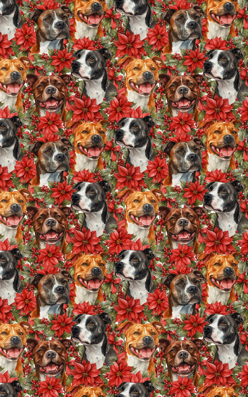 AmStaff Winter Wonder