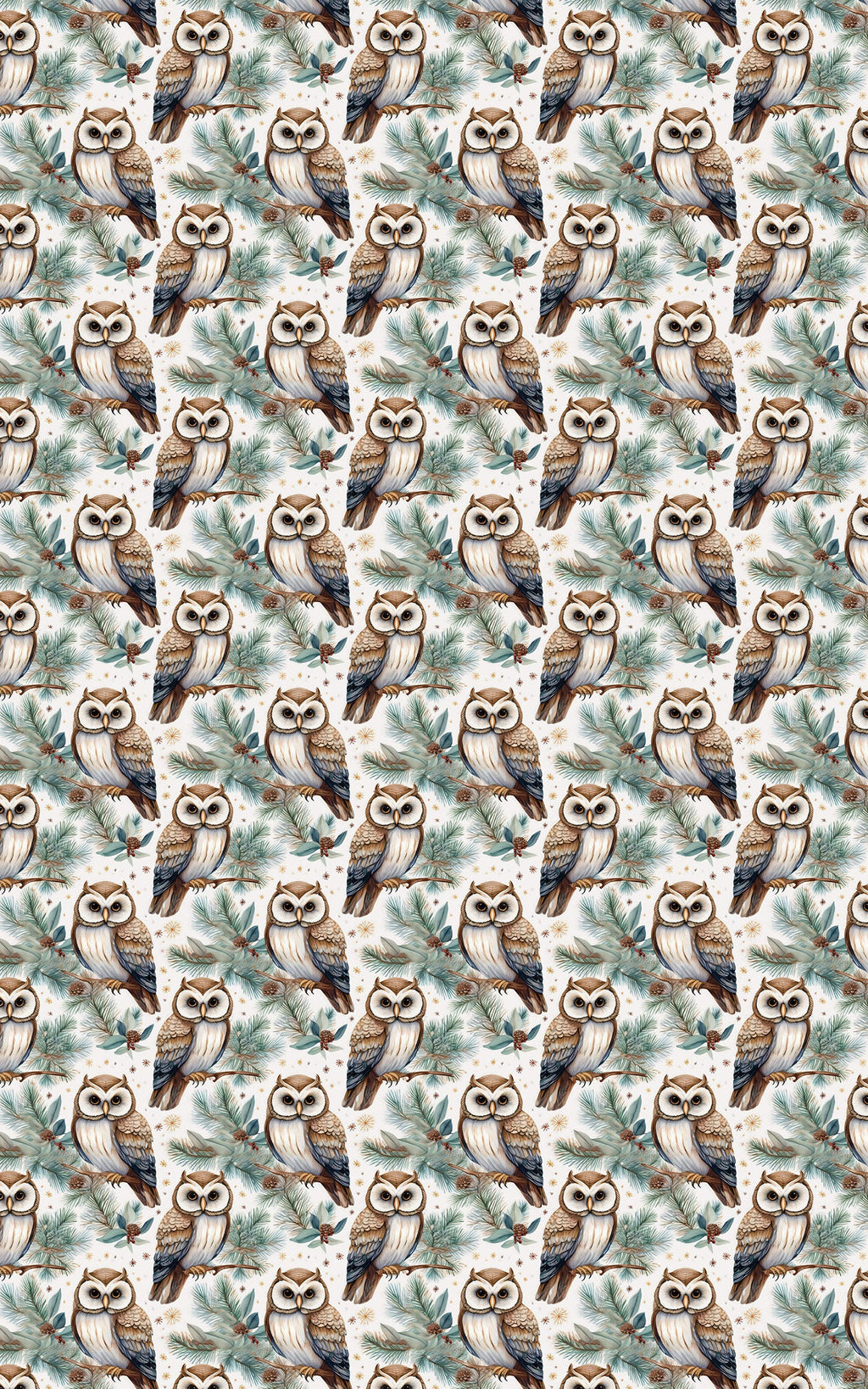 Winter Hoots