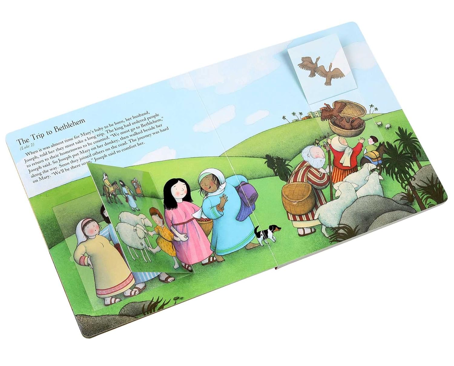 Lift the Flap Nativity Book