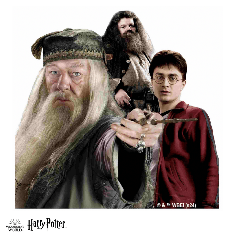 Harry Potter - The Magical Guardians Wooden Jigsaw Puzzle