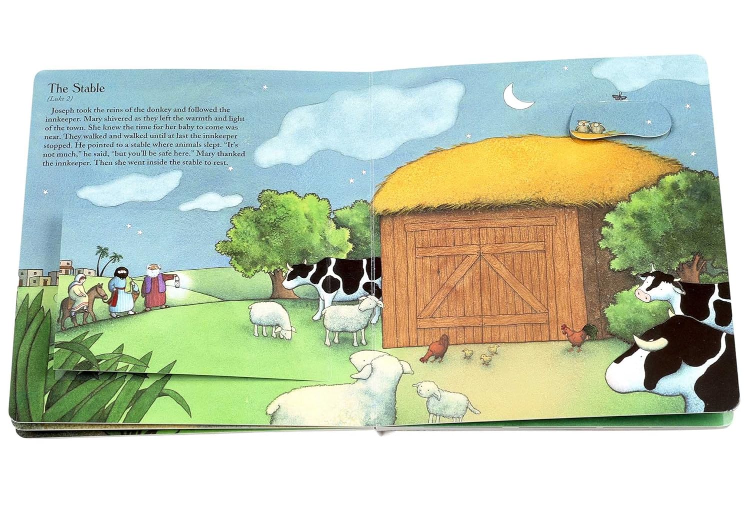 Lift the Flap Nativity Book